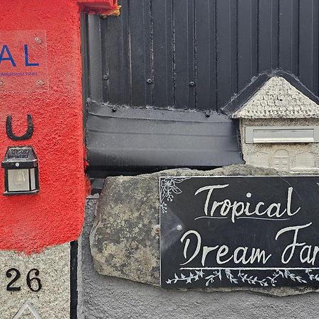 瓦泽拉 Tropical Dream Farm酒店 外观 照片