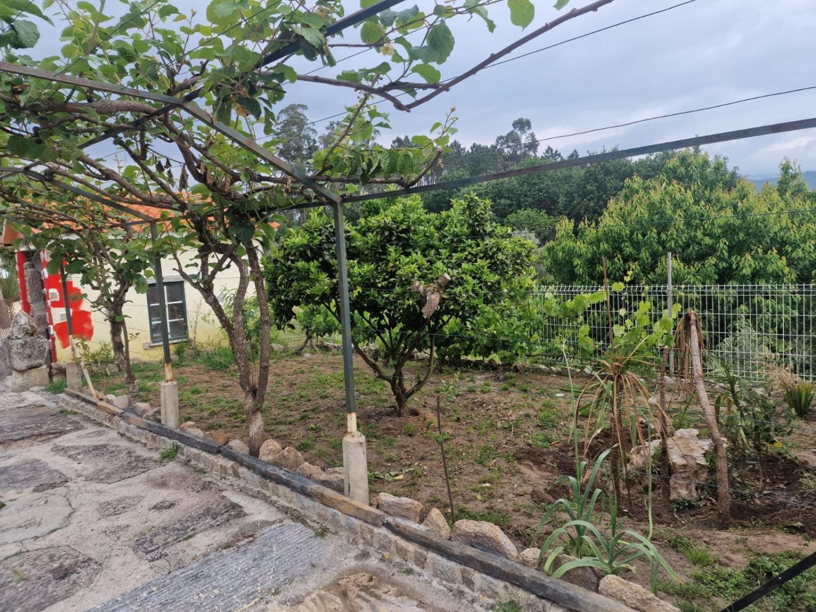 瓦泽拉 Tropical Dream Farm酒店 外观 照片